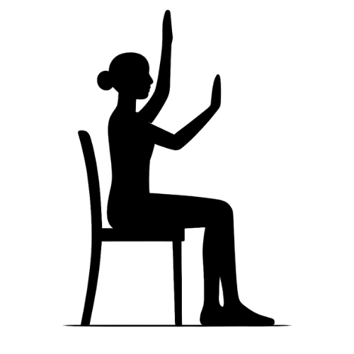 Gentle Movement for Seniors